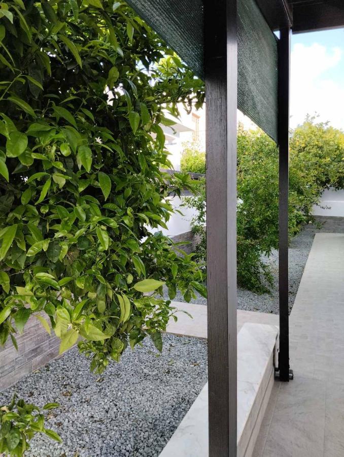 Michael Angelo Villa Paphos Bagian luar foto